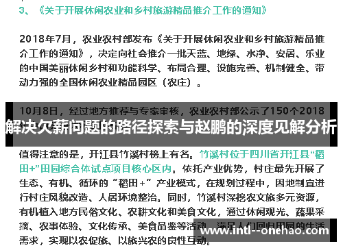 解决欠薪问题的路径探索与赵鹏的深度见解分析