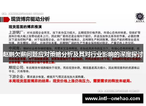 赵鹏欠薪问题应对策略分析及其对行业影响的深度探讨