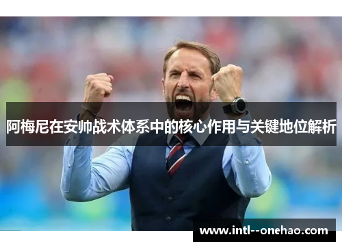 阿梅尼在安帅战术体系中的核心作用与关键地位解析