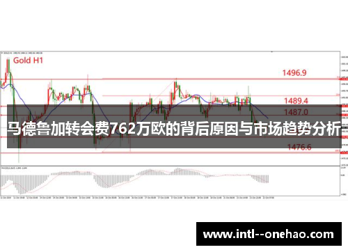 马德鲁加转会费762万欧的背后原因与市场趋势分析