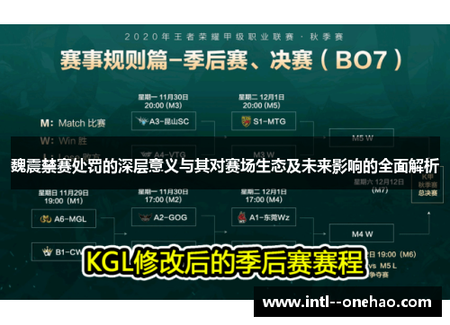 魏震禁赛处罚的深层意义与其对赛场生态及未来影响的全面解析